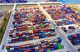 Từ 15/2/2024, điều chỉnh giá dịch vụ bốc dỡ container cảng biển