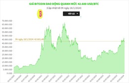 Giá Bitcoin dao động quanh mức 42.600 USD/BTC