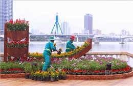 Đà Nẵng: Trang trí 21 điểm hoa đón Tết Nguyên đán 2024