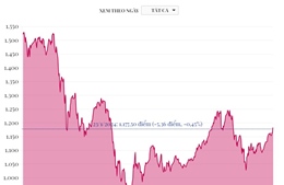 Phiên 23/1/2024: VN-Index giảm hơn 5 điểm