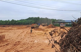 Vụ đào lấy đất trái phép ở Quảng Trị: Chủ sở hữu thửa đất thừa nhận hành vi hủy hoại đất