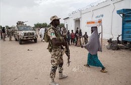 Nigeria triển khai quân giải cứu trên 250 học sinh bị bắt cóc