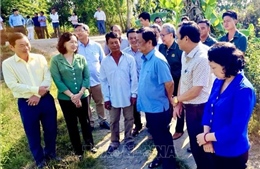 Bộ trưởng Lê Minh Hoan đến thăm đồng tại An Giang