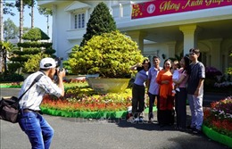 Trụ sở UBND tỉnh Đồng Tháp hút khách tham quan dịp Tết