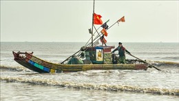 Ngư dân xứ Thanh vươn khơi đón lộc biển đầu năm mới