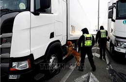 Vấn đề người di cư: Cảnh sát Anh phát hiện xe tải chở người trái phép