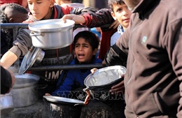 WFP tạm thời ngừng hoạt động nhân đạo tại Gaza