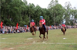 Đặc sắc Hội đua ngựa truyền thống Gò Thì Thùng