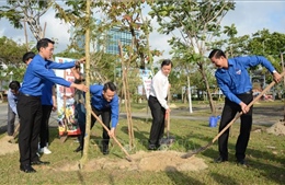 Đà Nẵng phát động phong trào bảo vệ môi trường và Tết trồng cây
