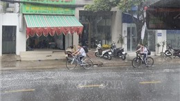 TP Hồ Chí Minh vẫn chưa được &#39;giải nhiệt&#39; sau cơn mưa trái mùa