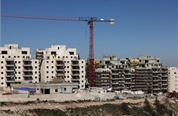LHQ phản đối Israel mở rộng khu định cư tại các vùng lãnh thổ chiếm đóng của Palestine