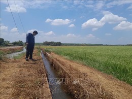 Bình Phước: Chủ động nguồn nước, chống hạn hiệu quả