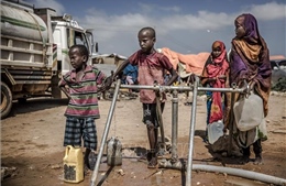 Gần 64 triệu người vùng Sừng châu Phi cần viện trợ khẩn cấp