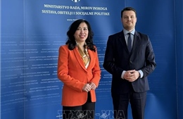 Việt Nam và Croatia khai phá tiềm năng hợp tác lao động