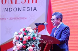 Hội nghị Gặp gỡ Indonesia năm 2024: Đưa hợp tác hai nước đi vào chiều sâu và hiệu quả