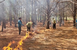 Nỗ lực kiểm soát nguy cơ cháy rừng dịp cao điểm mùa khô