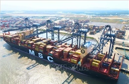 Bà Rịa-Vũng Tàu đón tàu container tải trọng hơn 170.000 DWT
