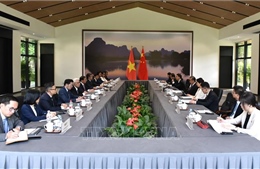 Bộ trưởng Bộ Ngoại giao Bùi Thanh Sơn hội đàm với Bộ trưởng Ngoại giao Trung Quốc