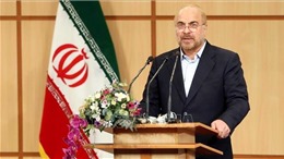 Chủ tịch Quốc hội Iran Qalibaf tuyên bố tranh cử Tổng thống 