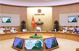 Phó Thủ tướng Trần Lưu Quang chủ trì Phiên họp Hội đồng thẩm định Quy hoạch lâm nghiệp quốc gia 