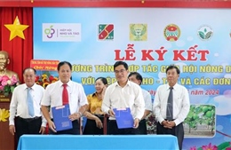 Ký kết các chương trình hợp tác phát triển nho, táo Ninh Thuận