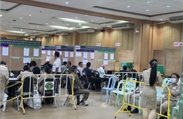 Bầu cử Thượng viện Thái Lan: Trên 50% ứng cử viên vượt qua vòng một