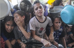 Australia, New Zealand, Canada kêu gọi lệnh ngừng bắn ở Gaza