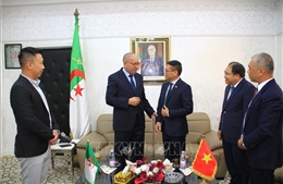 Việt Nam và Algeria thúc đẩy hợp tác sâu rộng giữa các doanh nghiệp ở cấp địa phương