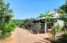 Bình Phước tăng tốc xây dựng nông thôn mới