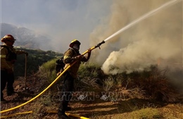 Mỹ: Trên 13.000 người ở Bắc California phải sơ tán vì cháy rừng