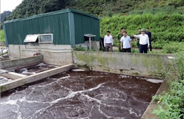 Nghị quyết thành lập đoàn giám sát chuyên đề về bảo vệ môi trường