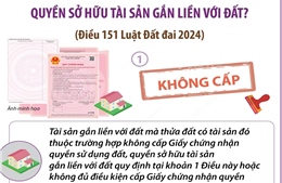 Các tài sản gắn liền với đất không được cấp Giấy chứng nhận quyền sử dụng đất, quyền sở hữu tài sản gắn liền với đất