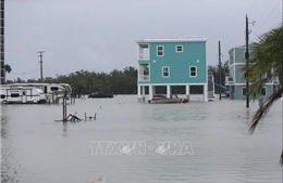 Mỹ: Bão nhiệt đới Debby gây lũ quét tại nhiều khu vực 