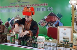 Tuần lễ quảng bá trái na và nông đặc sản Lạng Sơn đến với Thủ đô