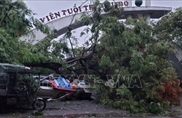 Khuyến cáo người dân đừng chủ quan nghĩ bão đã đi qua, Hà Nội không còn nguy hiểm nữa