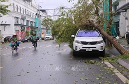 Hải Phòng: Thiệt hại nặng nề sau bão số 3