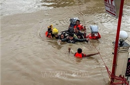 Philippines: Số người thiệt mạng do bão Trami tăng lên 65 người