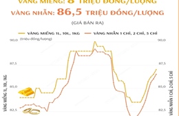 Giá vàng SJC sáng 23/11/2024