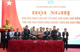 Giải pháp liên kết sản xuất, tiêu thụ sản phẩm nông nghiệp