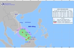 Ứng phó với áp thấp nhiệt đới trên Biển Đông