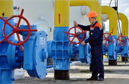 Gazprom tiếp tục vận chuyển hơn 42 triệu m3 khí đốt qua Ukraine