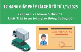 12 hạng giấy phép lái xe ô tô từ 1/1/2025