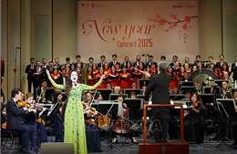 Chào năm mới với chương trình hòa nhạc &#39;New year Concert 2025&#39;