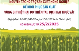 Nguyên tắc hỗ trợ sản xuất nông nghiệp để khôi phục sản xuất vùng bị thiệt hại do thiên tai, dịch hại thực vật