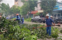 Sửa quy định về bộ máy quản lý và điều hành Quỹ phòng, chống thiên tai các cấp