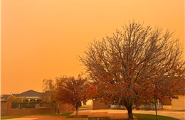 Bão bụi, lũ lụt tàn phá nhiều khu vực của Australia
