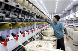 Kế hoạch hành động của Chính phủ về phát triển kinh tế tư nhân