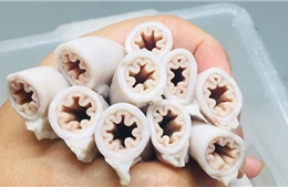 Thành phố Hồ Chí Minh đồng loạt kiểm tra quán kinh doanh lòng xe điếu