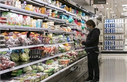 Áp lực lạm phát tại Mỹ giảm