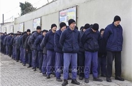 Nga và Ukraine trao đổi tù binh